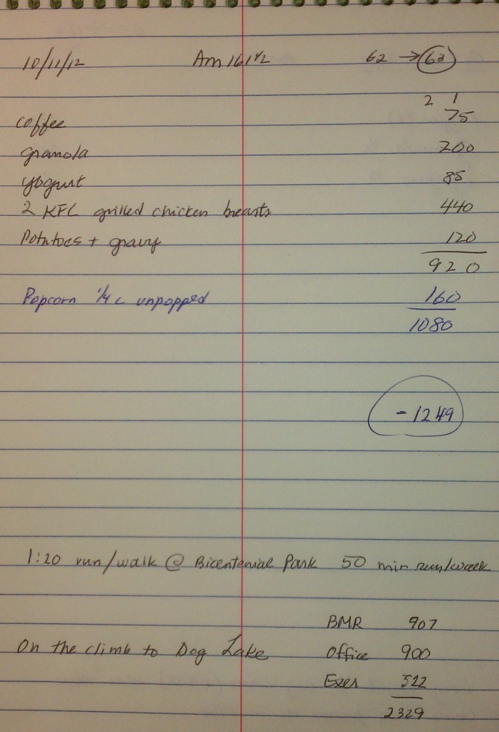 Wasatch 100 Diet Plan at Mile 63 - Calculations