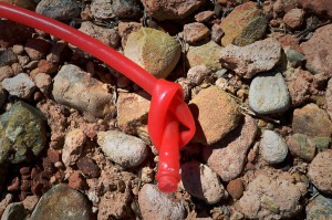 ---090152558-TrueGrit